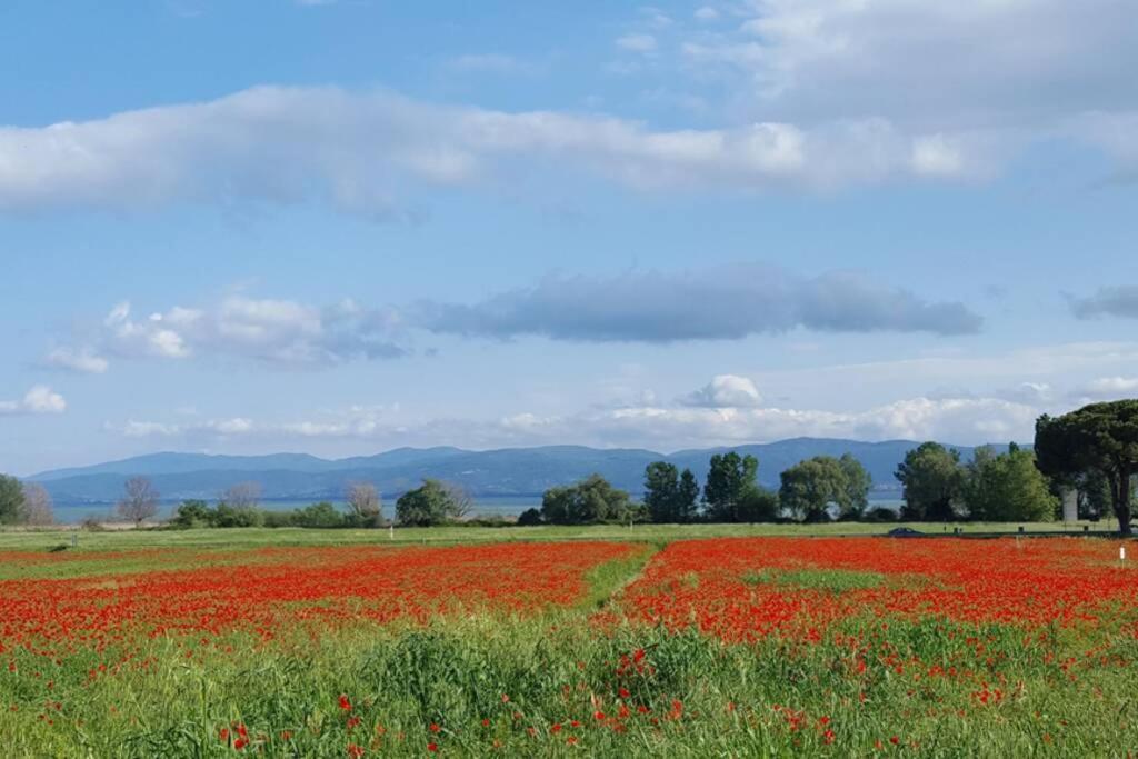 Bellavista La Tua Romantica Vacanza Sul Trasimeno Apartamento Castiglione del Lago Exterior foto