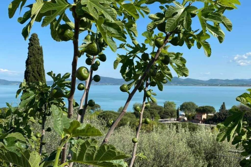 Bellavista La Tua Romantica Vacanza Sul Trasimeno Apartamento Castiglione del Lago Exterior foto