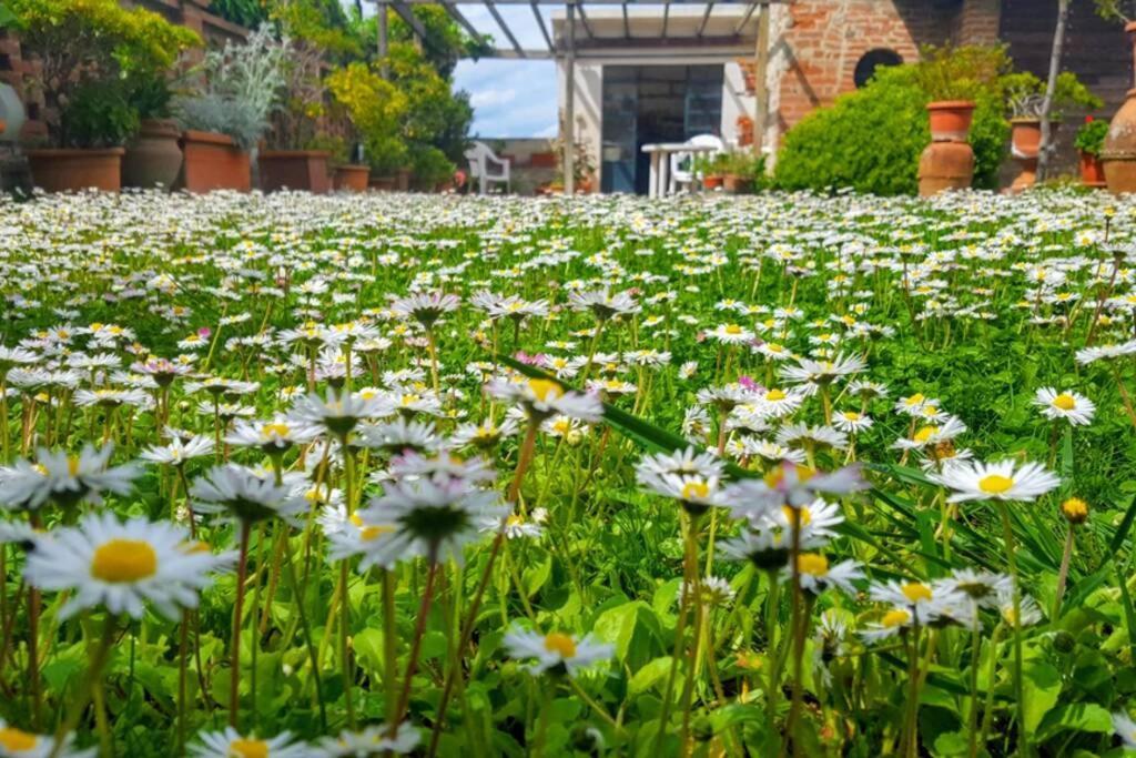 Bellavista La Tua Romantica Vacanza Sul Trasimeno Apartamento Castiglione del Lago Exterior foto