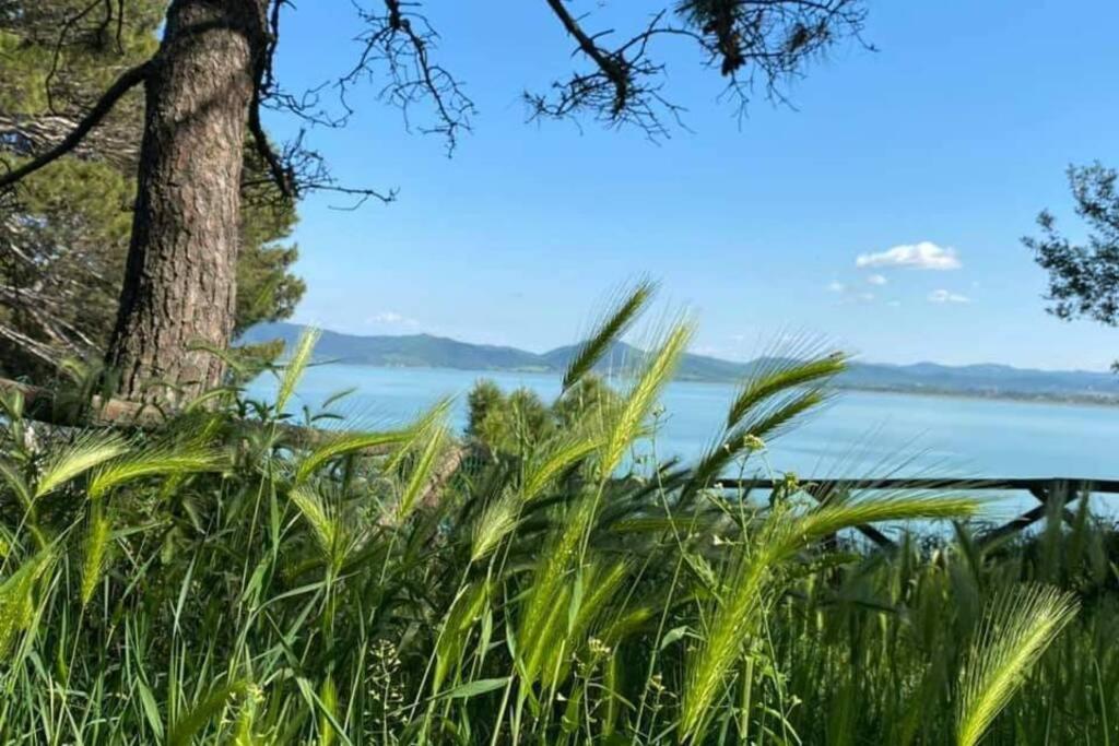 Bellavista La Tua Romantica Vacanza Sul Trasimeno Apartamento Castiglione del Lago Exterior foto