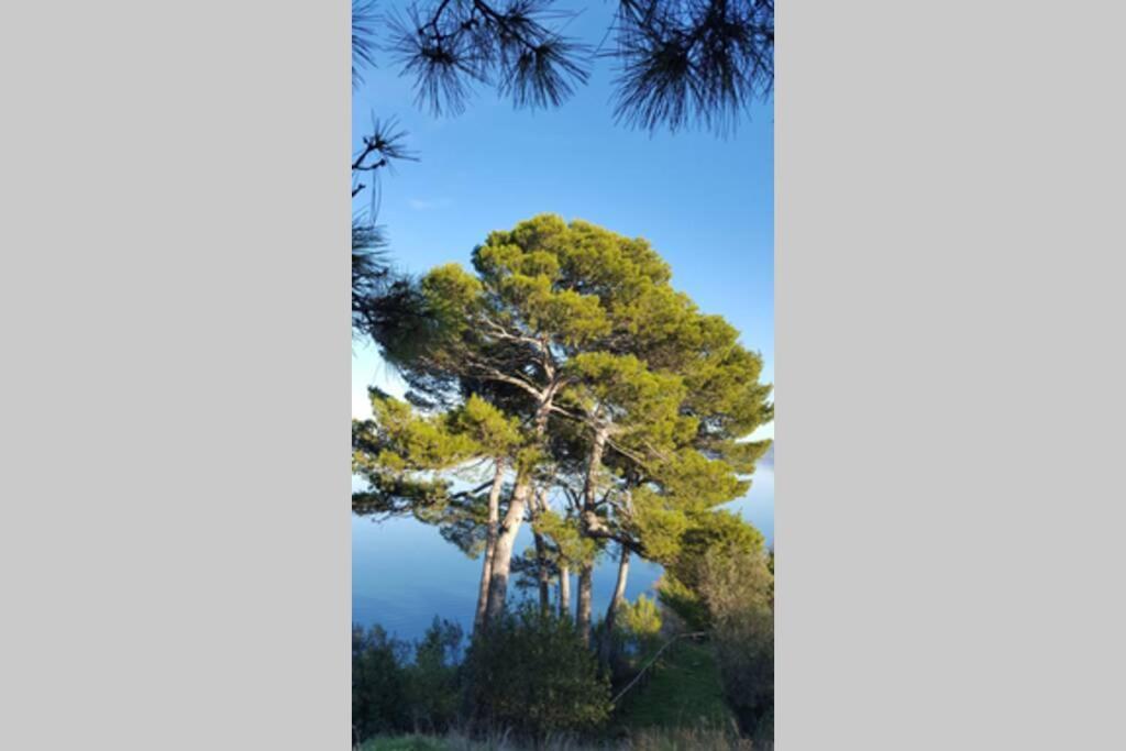 Bellavista La Tua Romantica Vacanza Sul Trasimeno Apartamento Castiglione del Lago Exterior foto