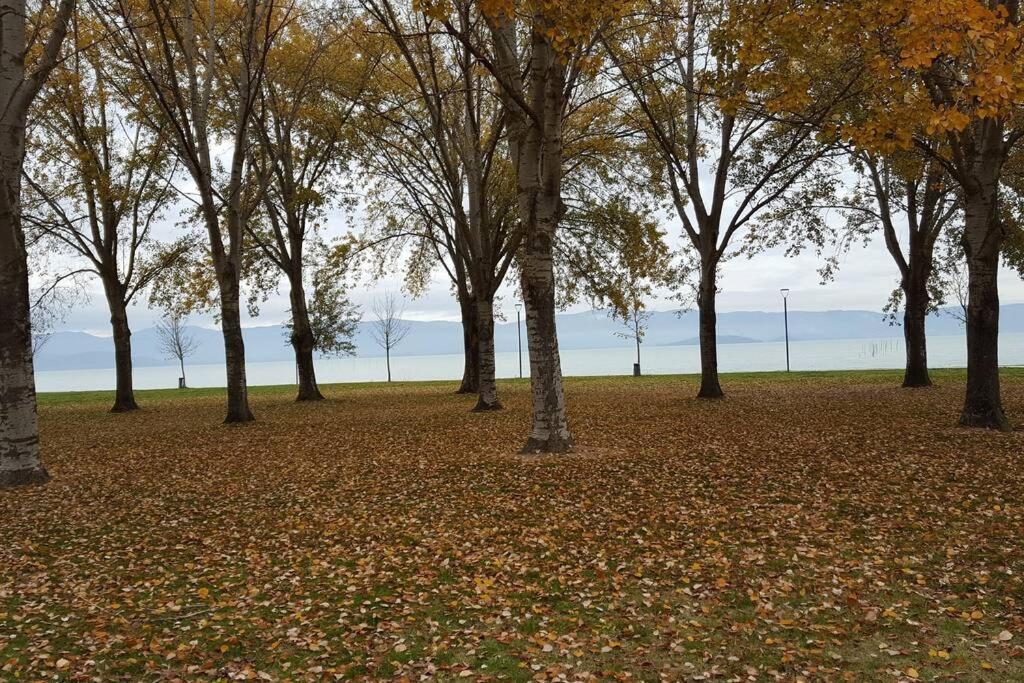 Bellavista La Tua Romantica Vacanza Sul Trasimeno Apartamento Castiglione del Lago Exterior foto