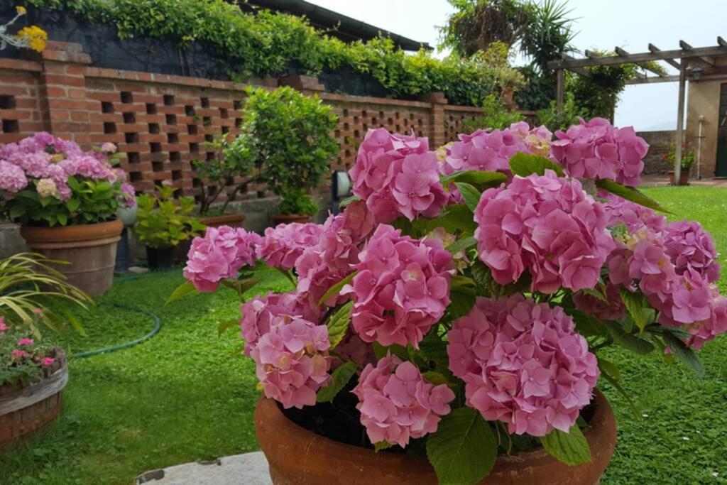 Bellavista La Tua Romantica Vacanza Sul Trasimeno Apartamento Castiglione del Lago Exterior foto