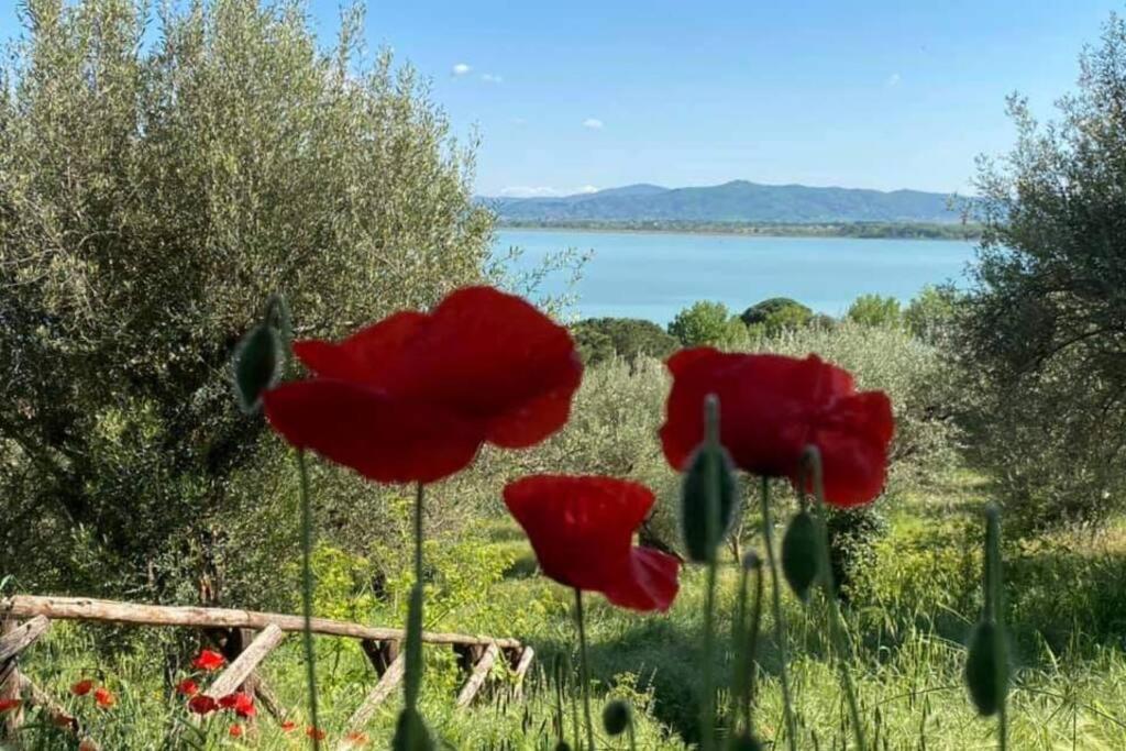 Bellavista La Tua Romantica Vacanza Sul Trasimeno Apartamento Castiglione del Lago Exterior foto