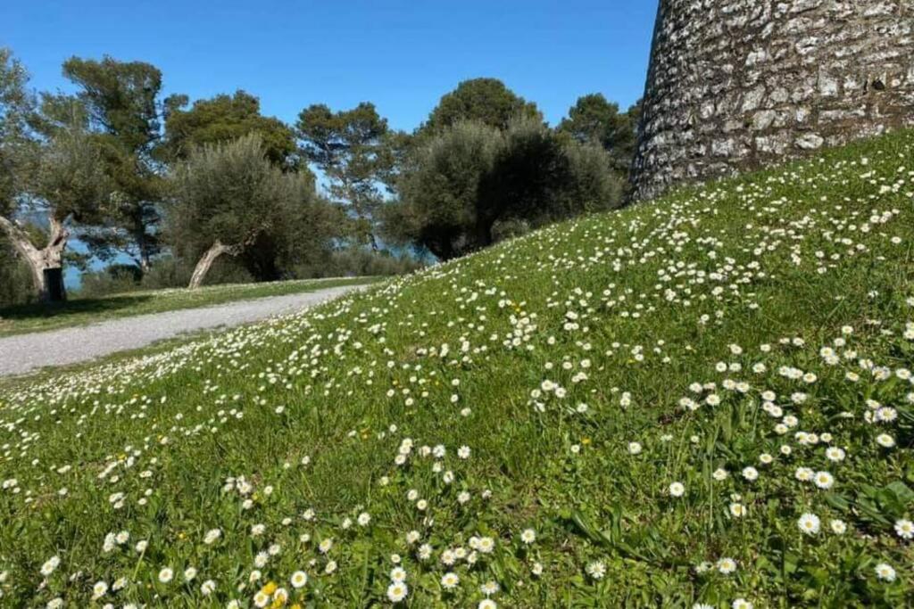 Bellavista La Tua Romantica Vacanza Sul Trasimeno Apartamento Castiglione del Lago Exterior foto