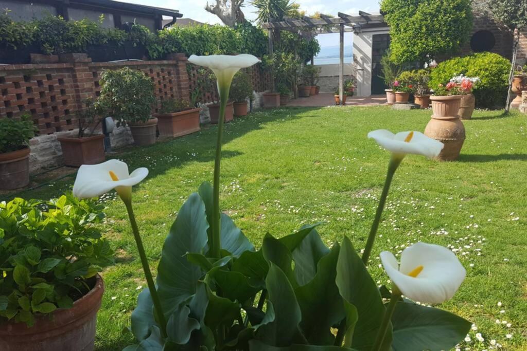 Bellavista La Tua Romantica Vacanza Sul Trasimeno Apartamento Castiglione del Lago Exterior foto