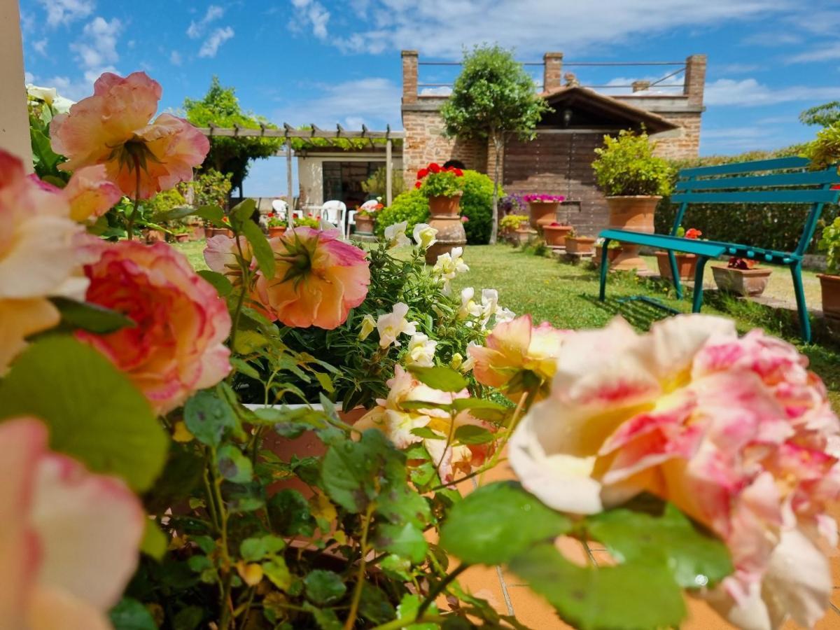 Bellavista La Tua Romantica Vacanza Sul Trasimeno Apartamento Castiglione del Lago Exterior foto